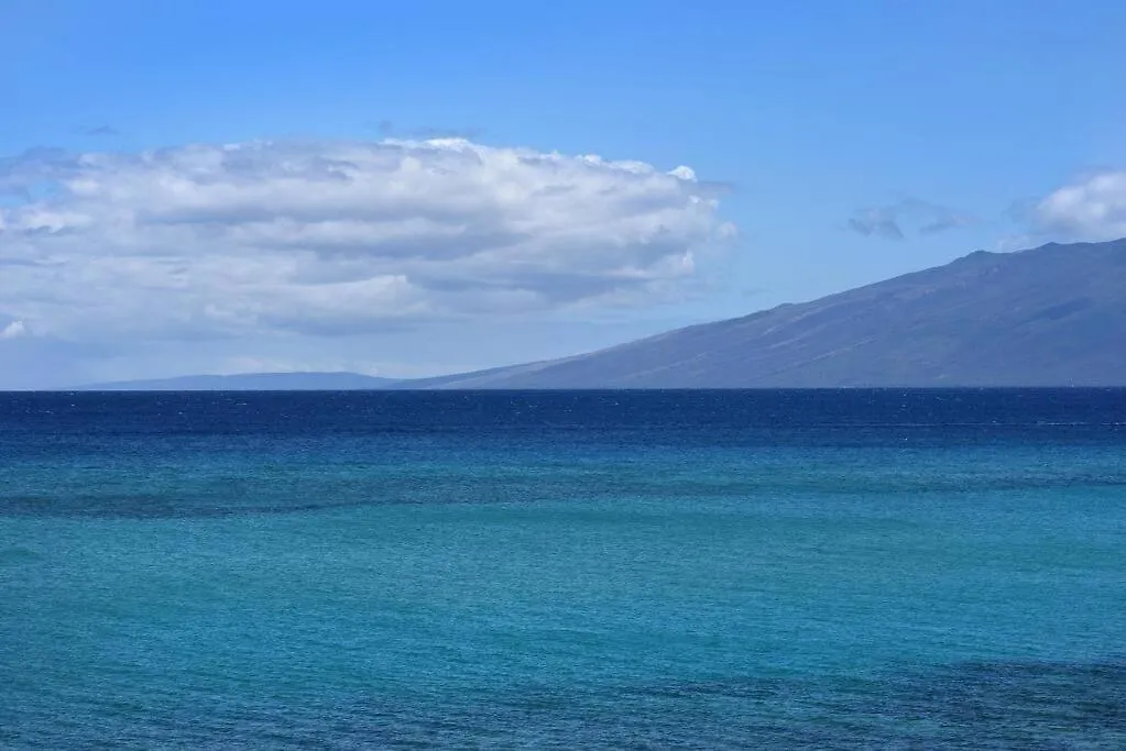 Apartamento Largest One Bedroom At Kuleana - Oceanfront Unit!! 105 Kahana