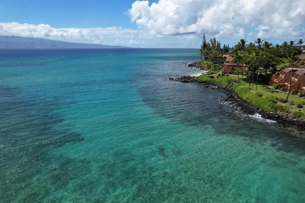 Largest One Bedroom At Kuleana - Oceanfront Unit!! 105 Kahana 0*,