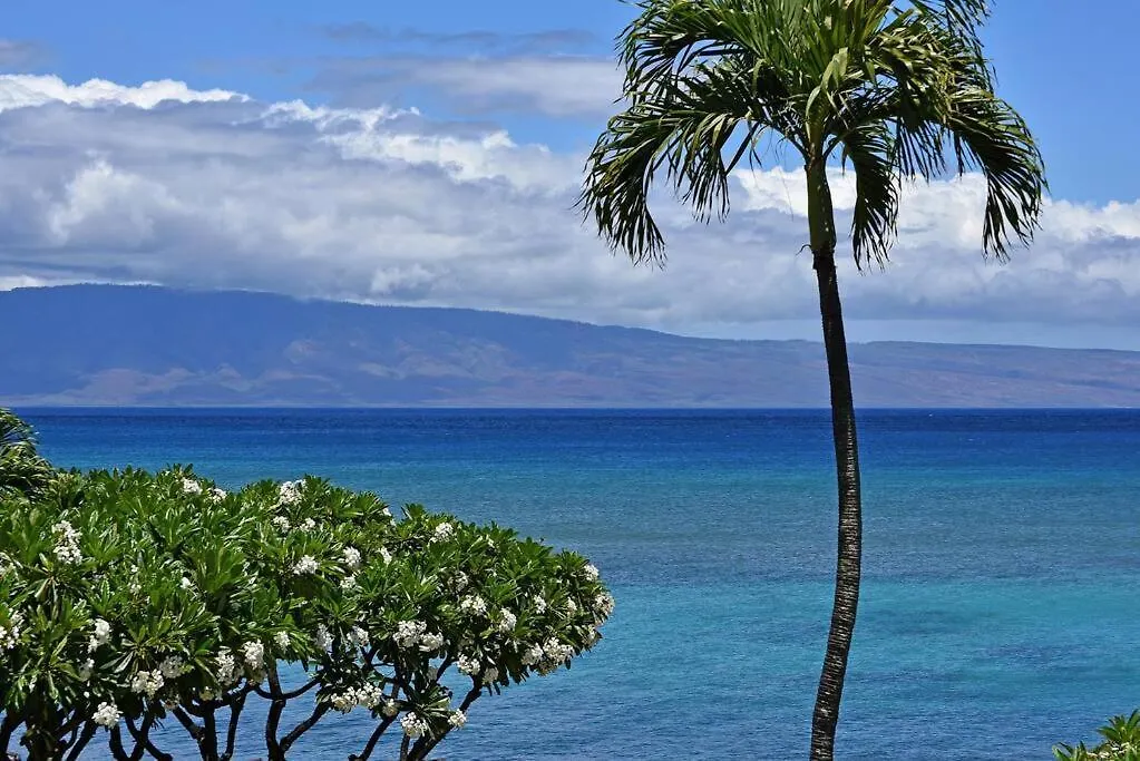 Largest One Bedroom At Kuleana - Oceanfront Unit!! 105 Kahana 0*,