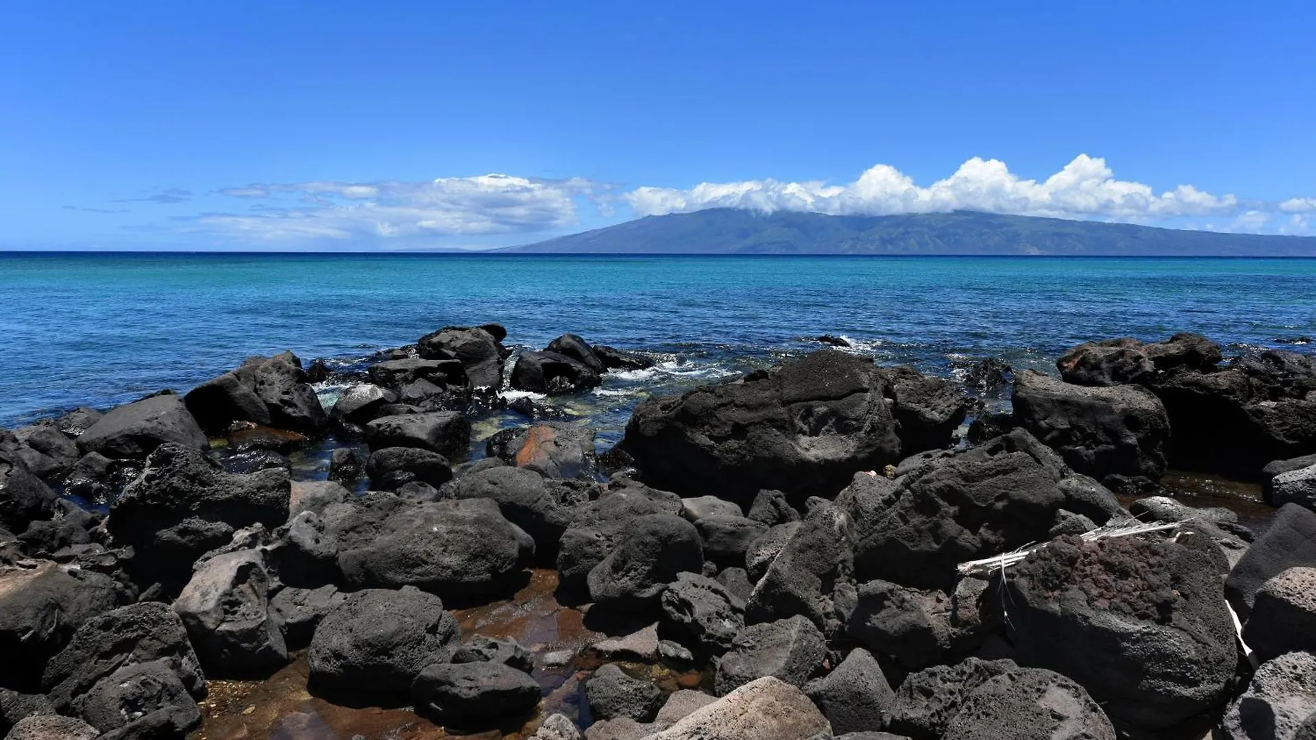 Apartamento Largest One Bedroom At Kuleana - Oceanfront Unit!! 105 Kahana